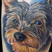Color Dog Portrait Tattoo Tattoo Design Thumbnail